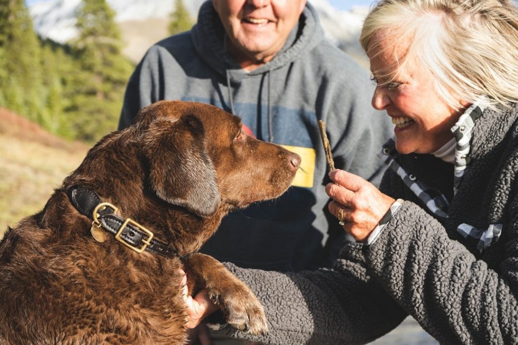 signs your dog is getting old and how to help them with owner support
